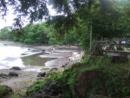 seeufer_charco_verde_ometepe_nic