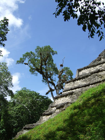 stufenbauweise_flores_tikal_guat