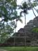 stufentempel_flores_tikal_guat