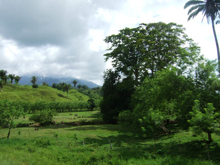 wiese1_bus_nach_la_ceiba_hondu