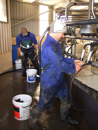 ben_nick_cowshed_dairyfarmnz