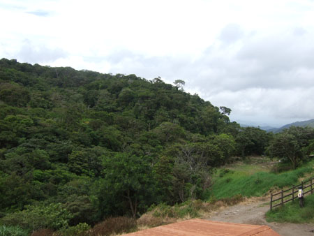 fensterblick1_sleepers_monteverde_cr