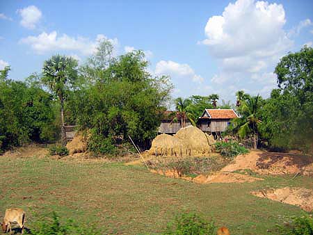 reisheumieten_nach_phnom_penh