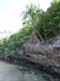 ogea_mangrove_sandy_fidschi