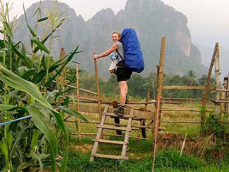 reisstecklinge_vang_vieng