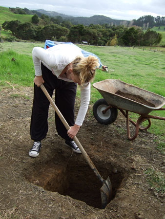 scheunenbauen2_wwoof1_kaikohe