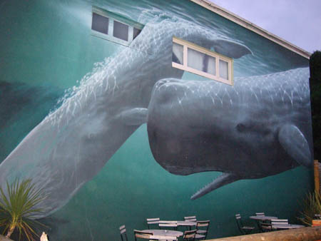 walgraffiti_whalewatch_nz